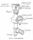 105mm_mle1913_plan4.JPG (33038 byte)