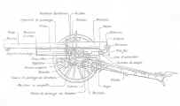french_75mm_m1897_plan_4.jpg (113295 byte)