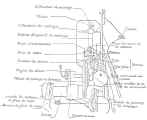 french_75mm_m1897_plan_6.jpg (71101 byte)